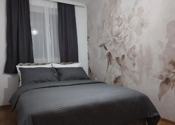 David Vrnjačka Banja